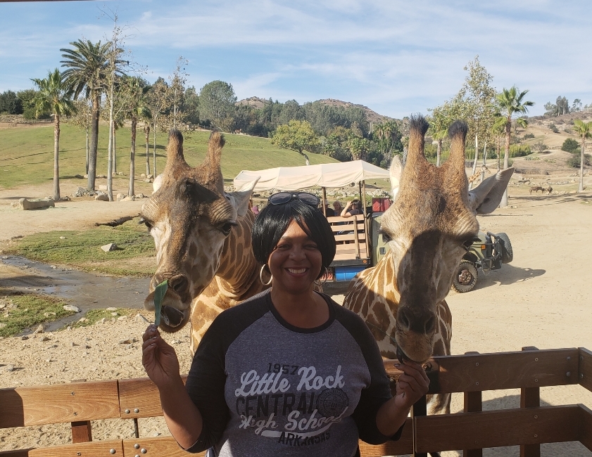 san diego safari park hours