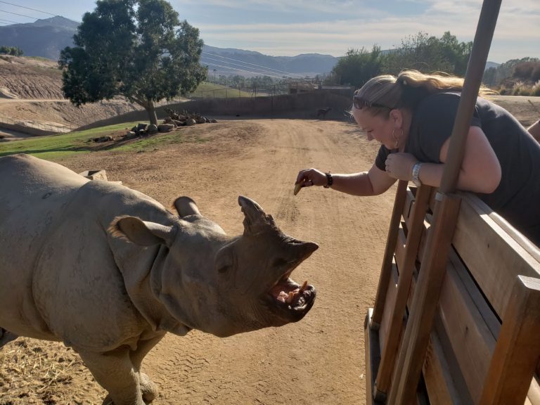 Roar and Snore Campout at San Diego Zoo Safari Park – SeCCRet the Cross ...